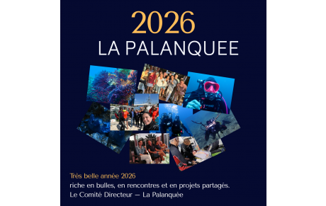 ✨ La Palanquée vous souhaite une très belle année ! ✨